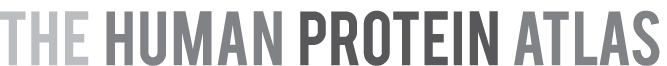 HumanProteinAtlas2